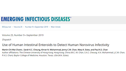 Detecting infectious norovirus by new culture system