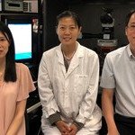 CUHK Study Discovers Pathway That Links to Cognitive Flexibility Dopamine Dysregulation May Lead to Ability Impairment