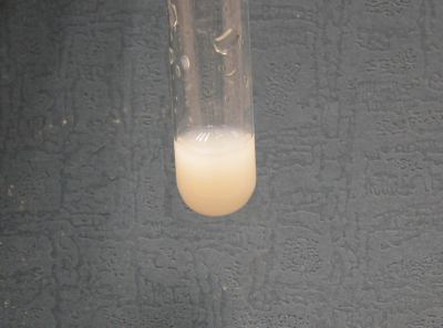 image: Mixture of KBr and AgNO3 Solutions in test-tube