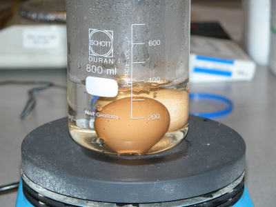 image: Boiling the eggs