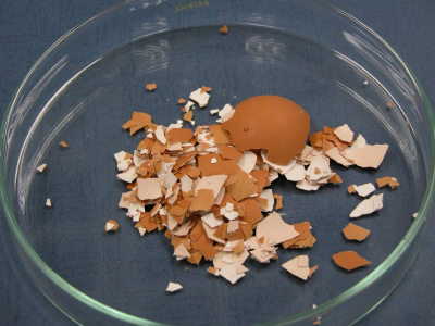 image: Eggshell