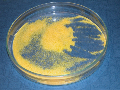 image: Mixture on a Petri dish – After drying in a fumehood for overnight