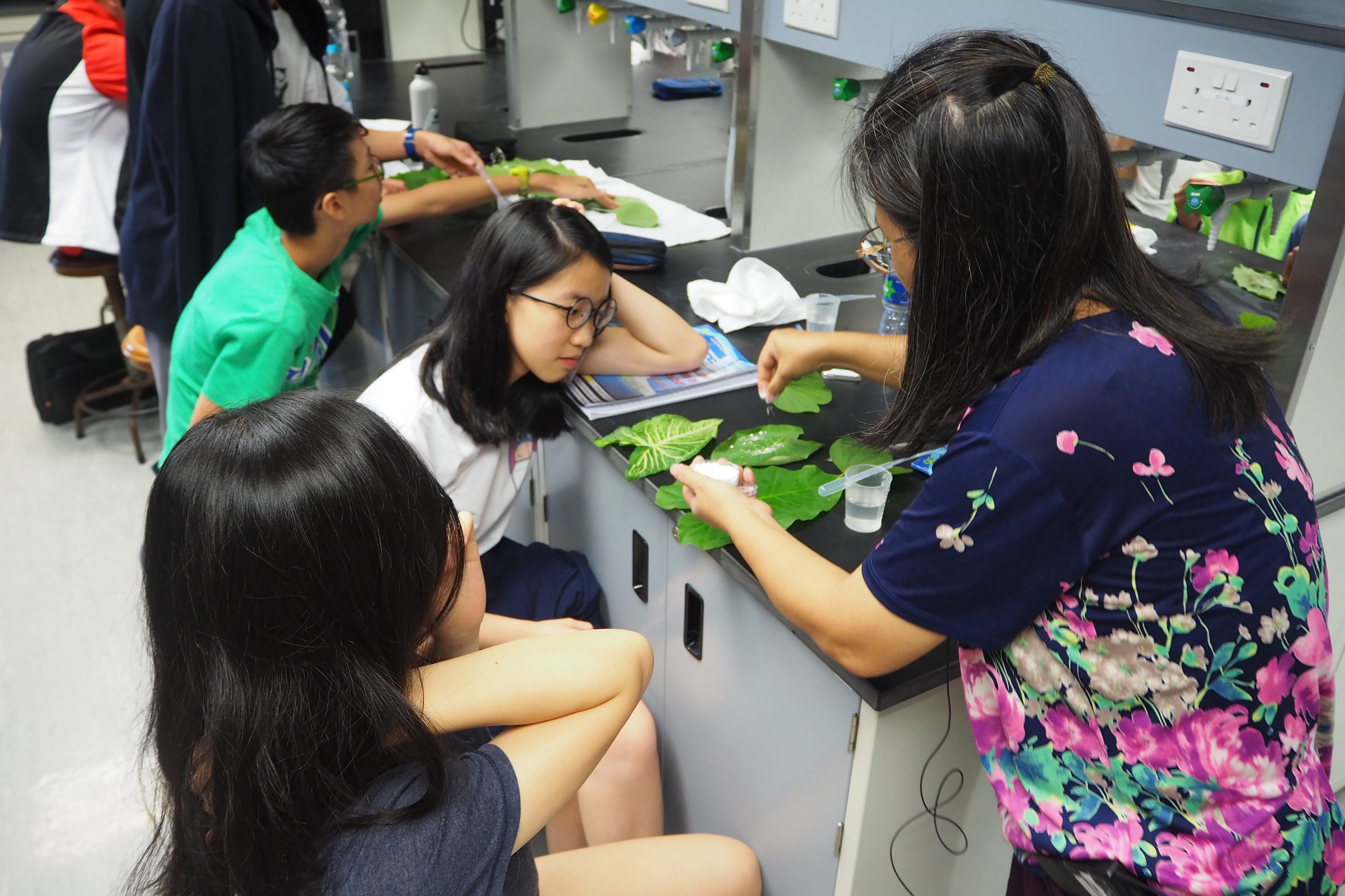 CUSA1009 Unravelling the Mysteries of Nanotechnology