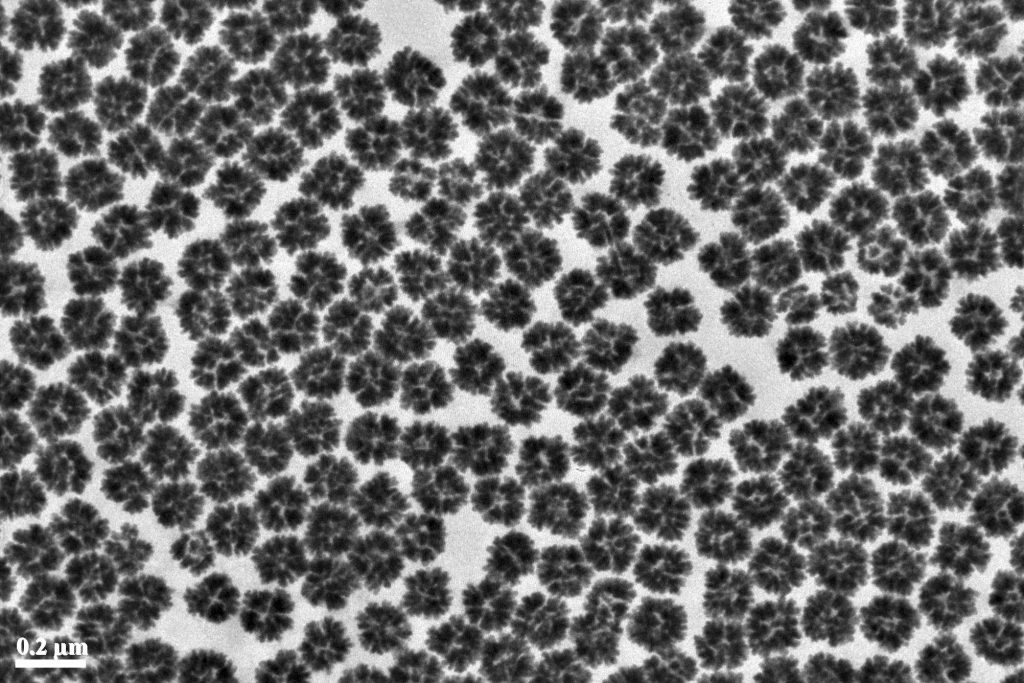 Colloidal Porous Gold Nanoparticles