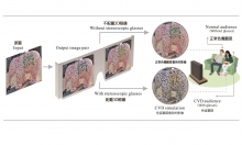 Prof. WONG Tien Tsin’s team proposes the very first system that allows CVD and normal-vision audiences to share the same visual content simultaneously. The invention minimises the trouble colourblind people have faced in the past due to their inability to distinguish colours.  