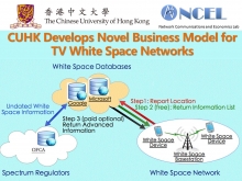 The information market model for TV white space networks.