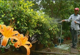 Campus Gardeners