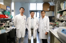 (From left) Dr. Jiang Yun LUO, Professor Yu HUANG and Dr. Li WANG 