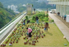 中大的天台花园位于综合教学大楼