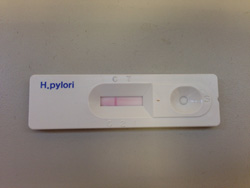 hpylori