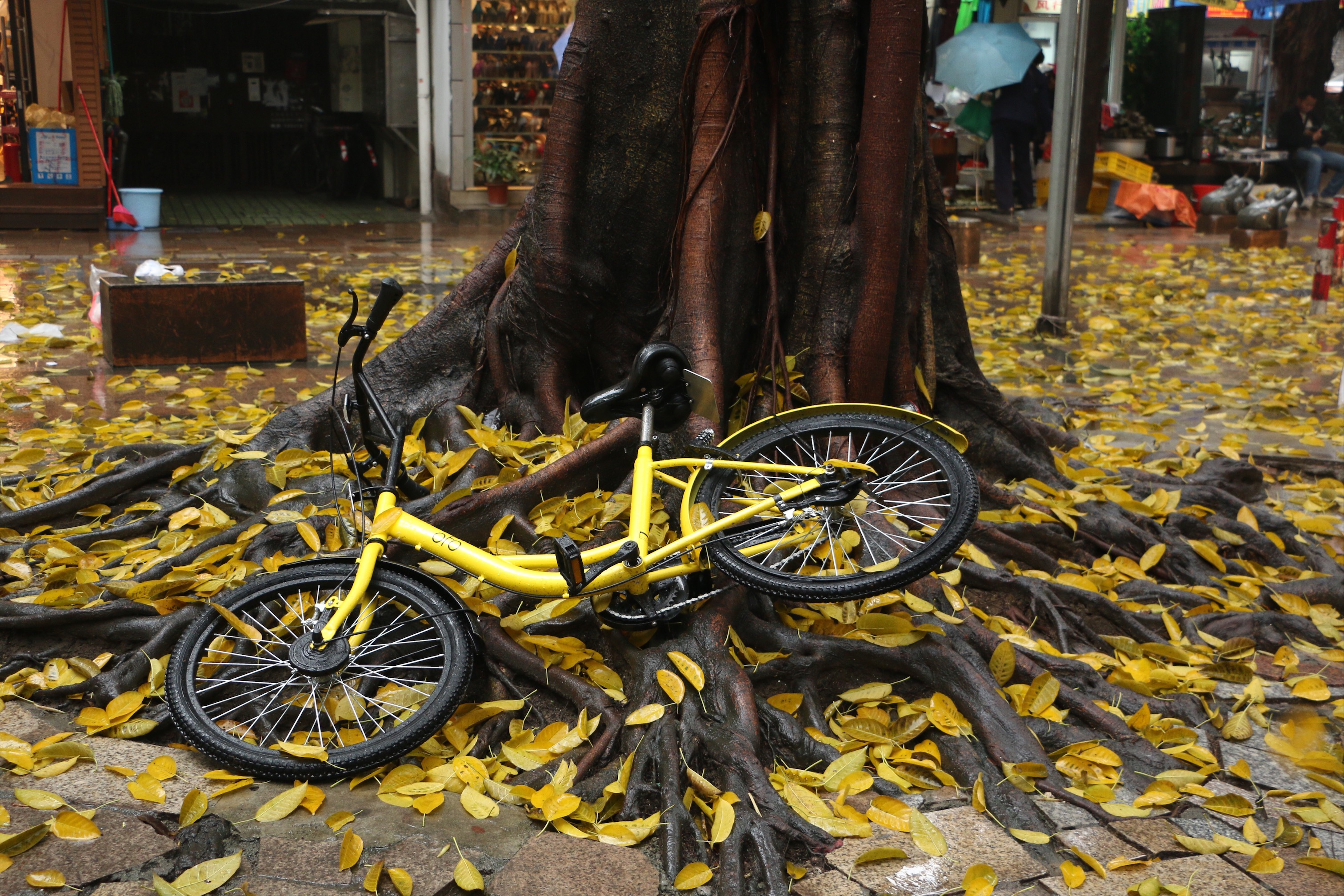 130_bicycle_cover_2