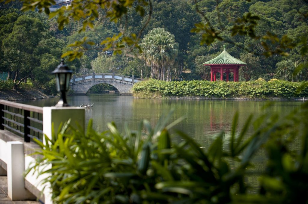 未圆湖景色优美，秋天坐在湖边读书确是写意。(ISO, CUHK)