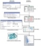 An Integrated System for Studying Residue Coevolution in Proteins