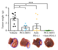 Enhancer Reprogramming by Selective HDAC8 Inhibition Potentiates T Cell Infiltration and Durable Antitumor Efficacy of PD-L1 Blockade