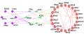 Extensive in vivo Metabolite-Protein Interactions Revealed by Large-Scale Systematic Analyses