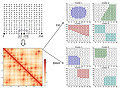 A Novel Method for Discovering Local Spatial Clusters of Genomic Regions with Functional Relationships from DNA Contact Maps