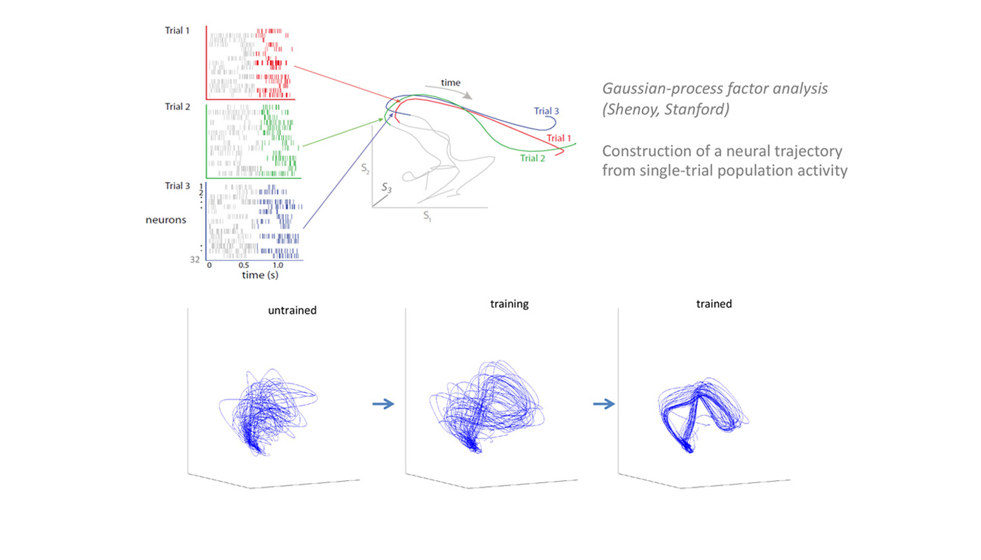 Neuron trajectories of the lab rat before and after learning