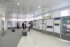 Research Poster Exhibition 研究海报展览