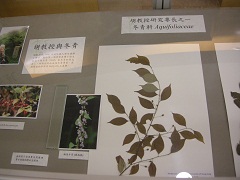 胡秀英教授紀念展