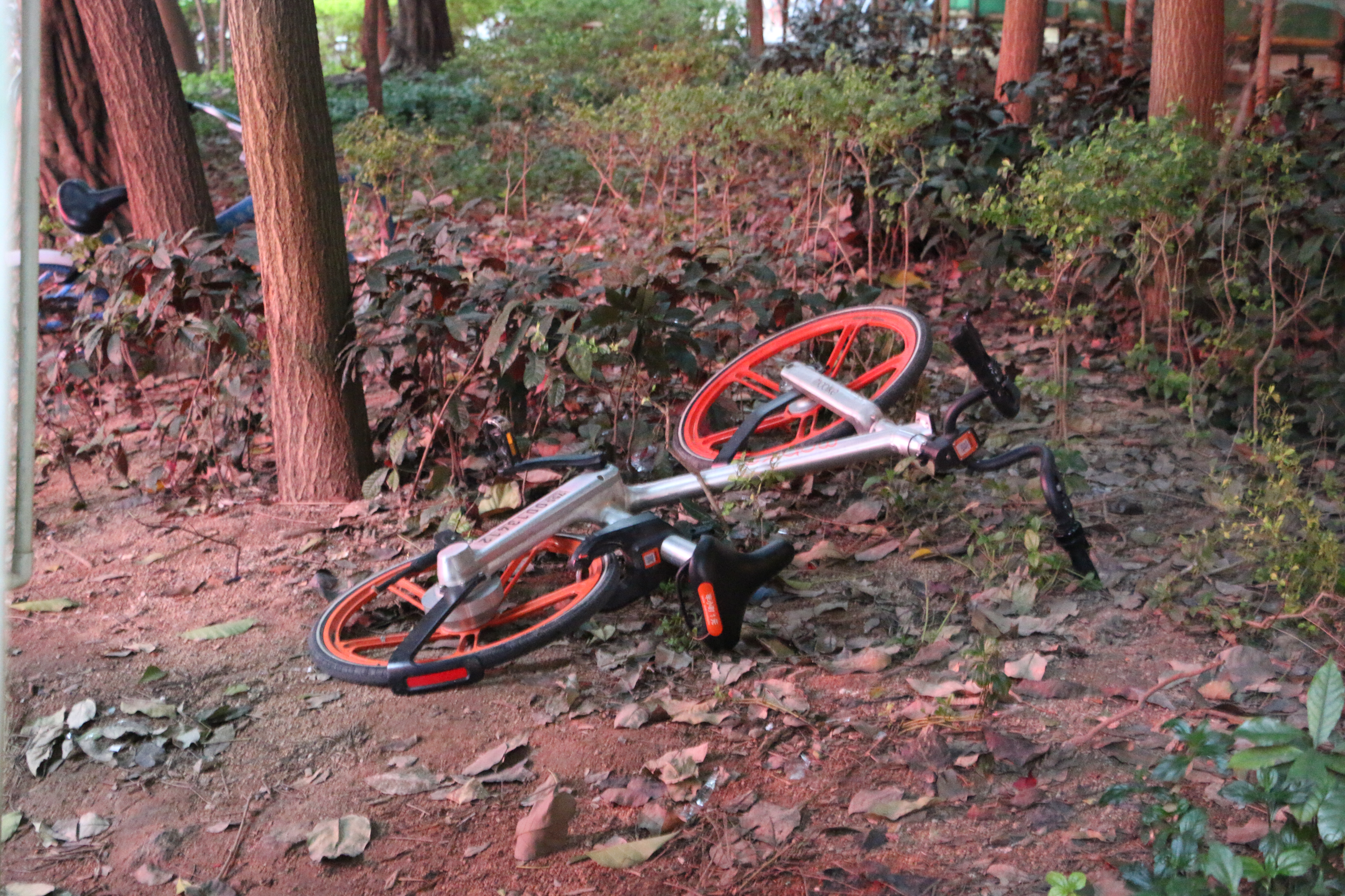 http://ubeat.com.cuhk.edu.hk/wp-content/uploads/2017/130_bicycle_abandon.jpg