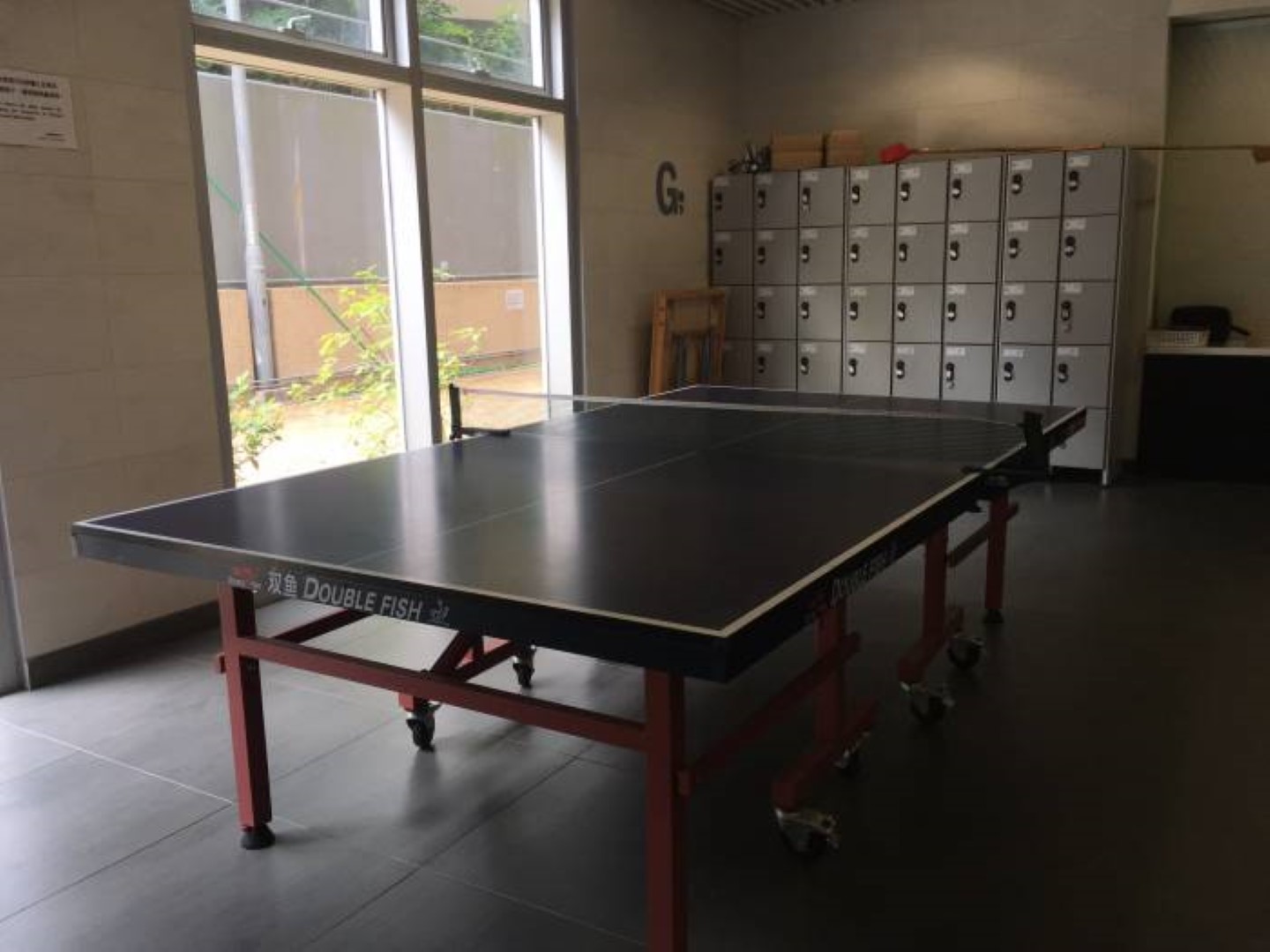 Table Tennis 乒乓球設施