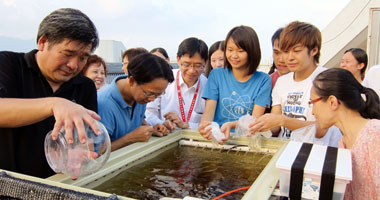 學生工讀計劃