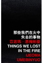 Things We Lost in the Fire