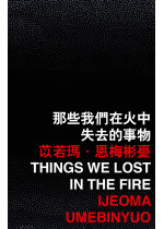 Things We Lost in the Fire