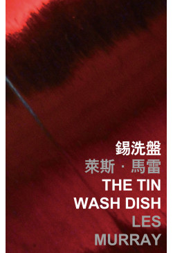 The Tin Wash Dish