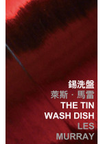 The Tin Wash Dish