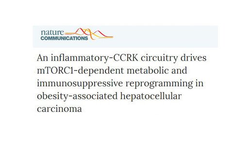 Therapeutic strategies in obesity-associated liver cancer