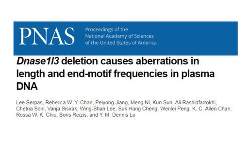 Mechanisms involved in the fragmentation of plasma DNA