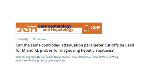 M and XL Probes for Hepatic Steatosis Diagnosis