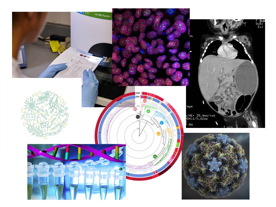 Experts from different Faculties and research teams at CUHK will ride on the unique platform provided by HK HOPE and work together on cutting-edge thematic areas, including Paediatric Oncology and Neonatology; Microbiome and Child Health; Genetics and Genomics; Undiagnosed Disease Network; and Stem Cells and Regenerative Medicine.