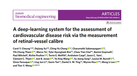 AI system to assess CVD risk