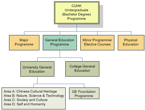 The programme structure