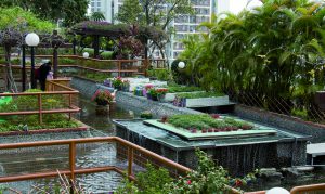 The aquaponic system at Chi Fu Fa Yuen.