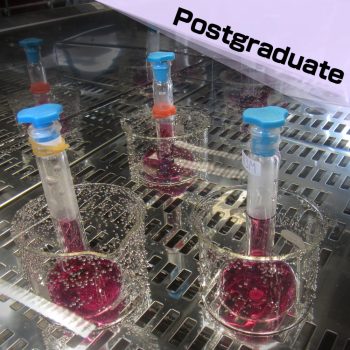 postgraduate