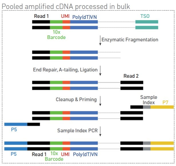 Sequencing library preparation