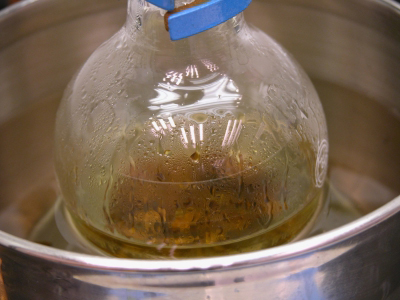 close-up image: Heating the cinnamon barks in refluxing ethyl ethanoate