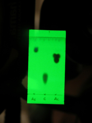 image: The sample spots visualized on the TLC plate under ultraviolet radiation