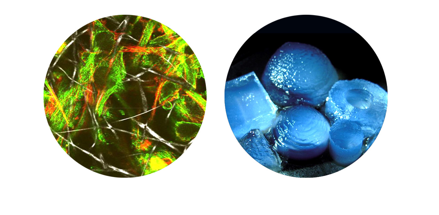 <em>Picture 1 (left): </em> Seeded stem cells (green and red) interact with nanofibrous scaffold (white) <br><em>Picture 2 (right): </em>Hydrogel fabricated by PSL 3D printing technique