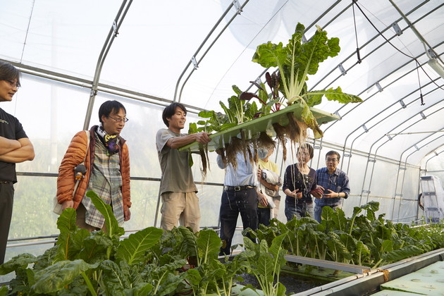 Aquaponic farming introduced by Shing.