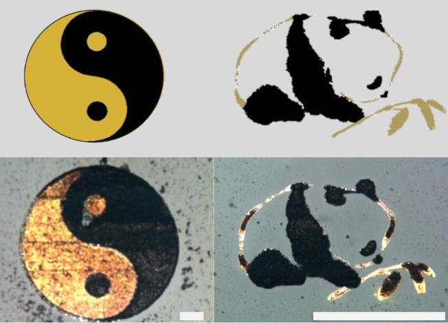 Examples of double metal (platinum and gold) printing. Left: taichi double fish pattern, right: panda. (The scale bar represents 50um.)