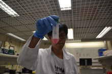 Based on the Toehold Switch mechanism, the CUHK genetic engineering team designs a rapid on-site method for sub-typing Influenza A virus. The test agent will turn pink from white in the presence of the target RNA.