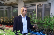 Professor Lam Hon-Ming, Director of the State Key Laboratory of Agrobiotechnology (The Chinese University of Hong Kong) and Professor of the School of Life Sciences at CUHK