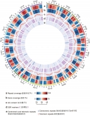 Wild soybean W05 genome