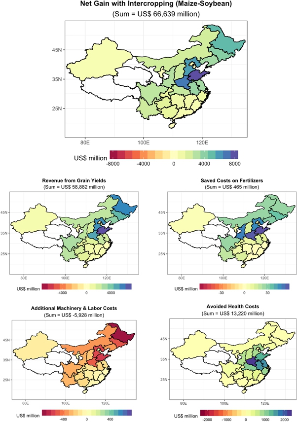 Cost-benefit analysis for the nationwide adoption of the maize–soybean intercropping system in China.