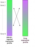 By comparing and looking for reversal patterns in two sets of expression profiles, GWAS of a disease and a specific drug candidate, research team could understand the utility of the drug to the target disease.