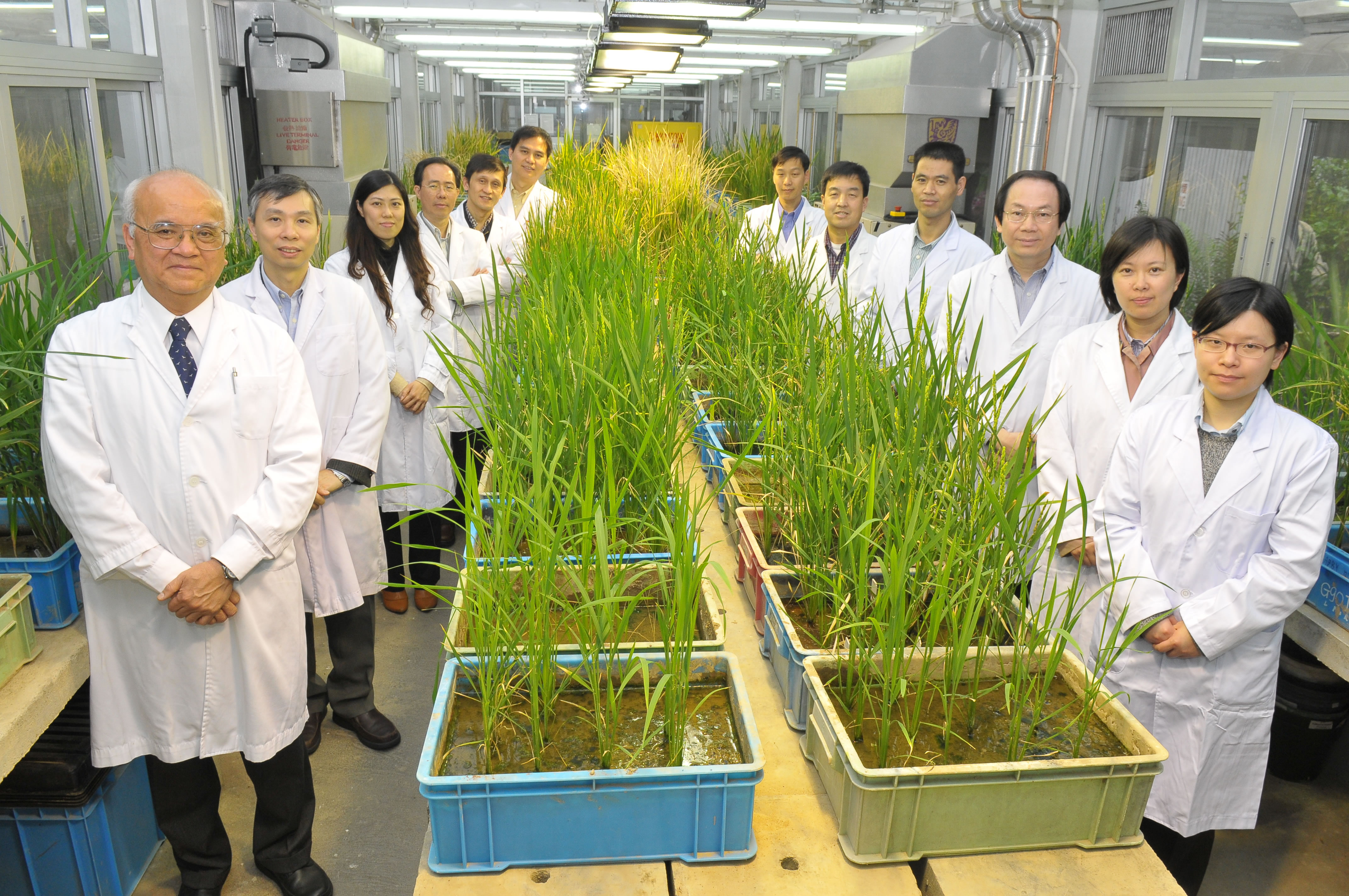 农业生物技术国家重点实验室（香港中文大学）主要科研人员